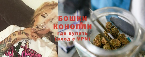 винт Каменка