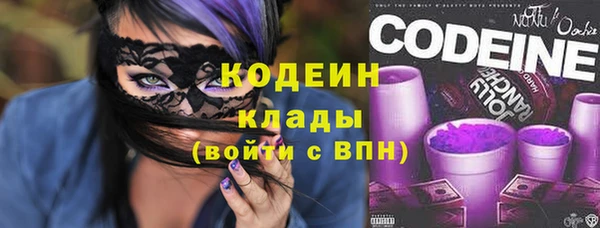 винт Каменка