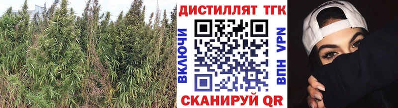 Дистиллят ТГК Wax  Купить  Шебекино 