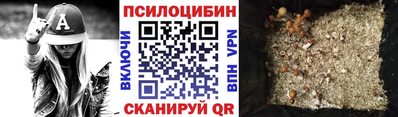 Галлюциногенные грибы ЛСД  Купить закладки  Шебекино 